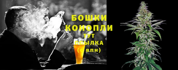 крисы Володарск