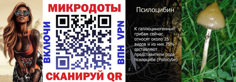 Псилоцибиновые грибы GOLDEN TEACHER  darknet наркотические препараты  Зея  mega tor 